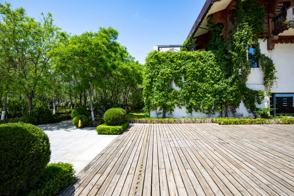 front yard design