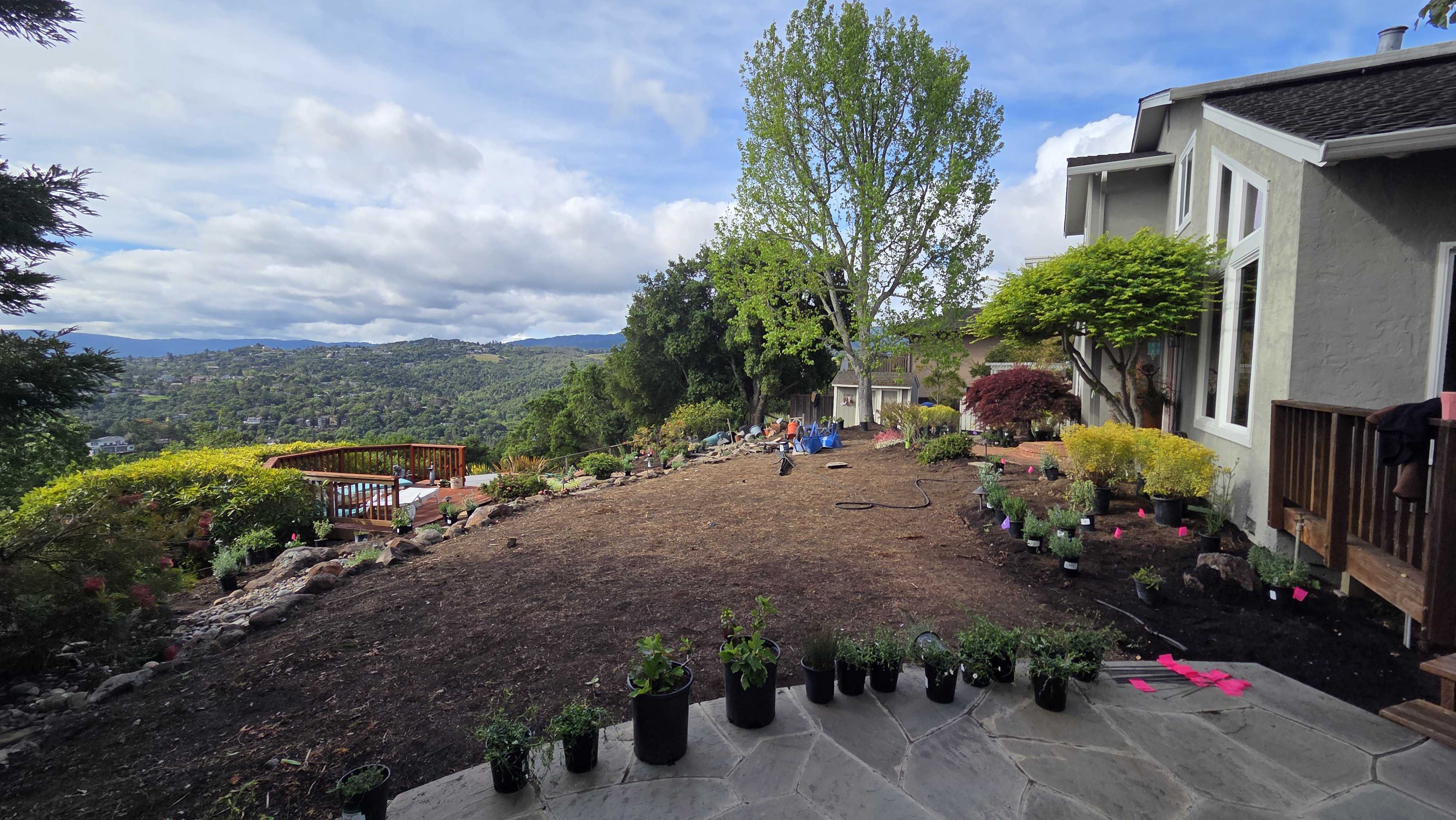 Backyard construction site showing a cleared and graded area with topsoil spread and dozens of nursery pots staged for...