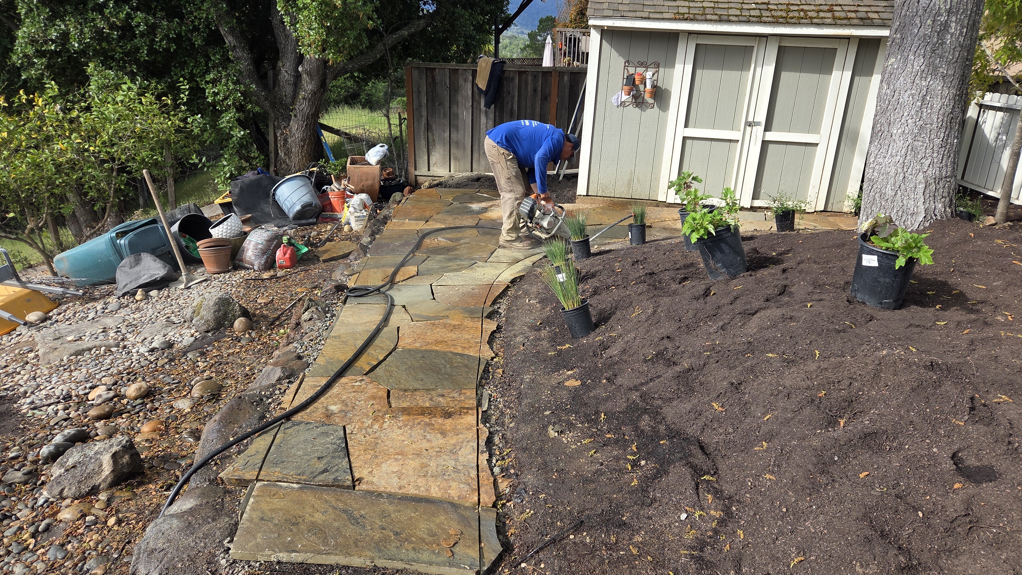 Crew actively installing irregular natural stone pavers to form a flagstone walkway adjacent to a mulch planting bed and...