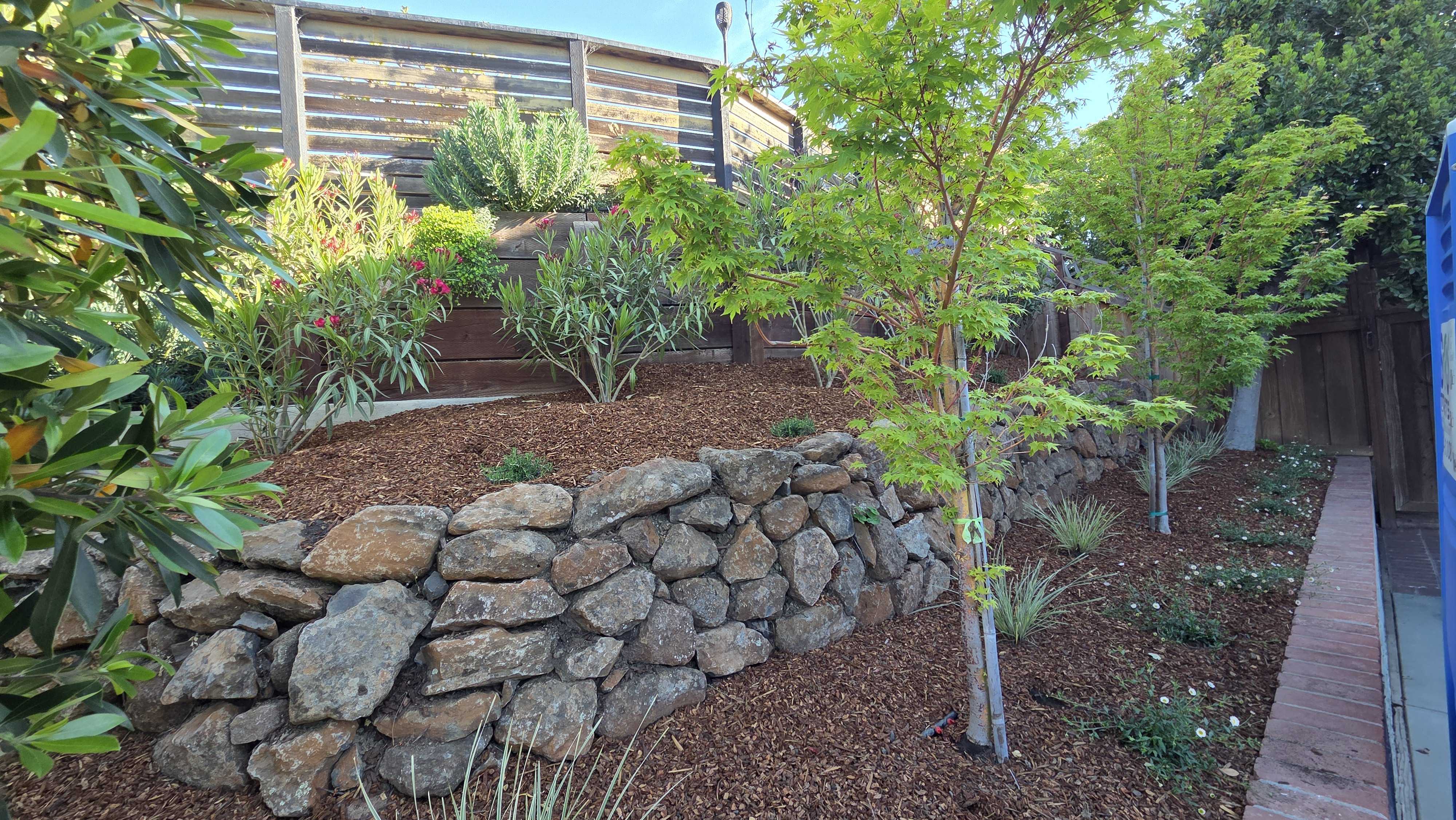 Backyard side yard showing a dry-stacked stone retaining wall with new mulch and recently planted trees and groundcover....