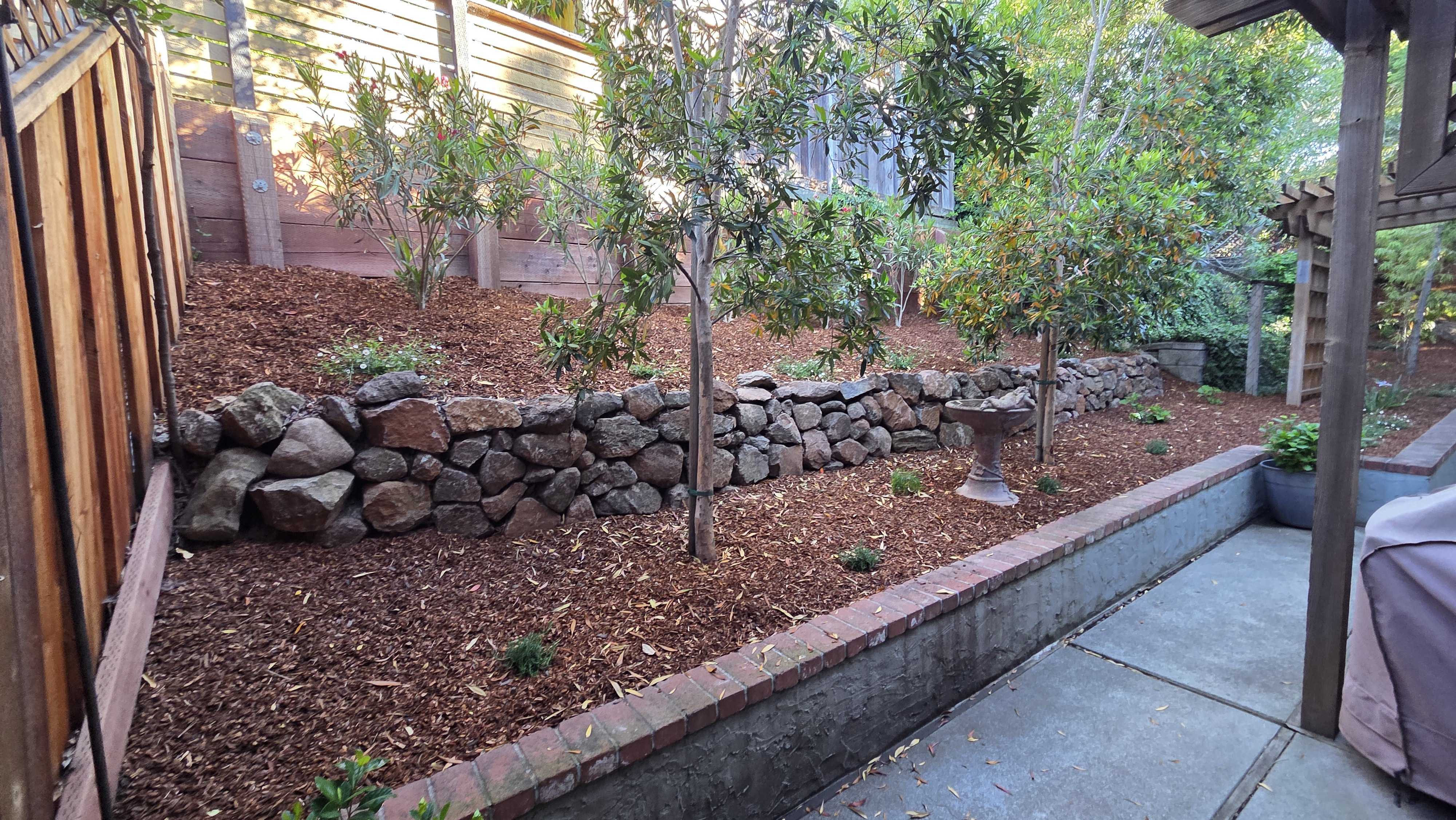 Backyard scene showing a dry-stacked stone retaining wall on a mulched slope with newly planted shrubs and a concrete...
