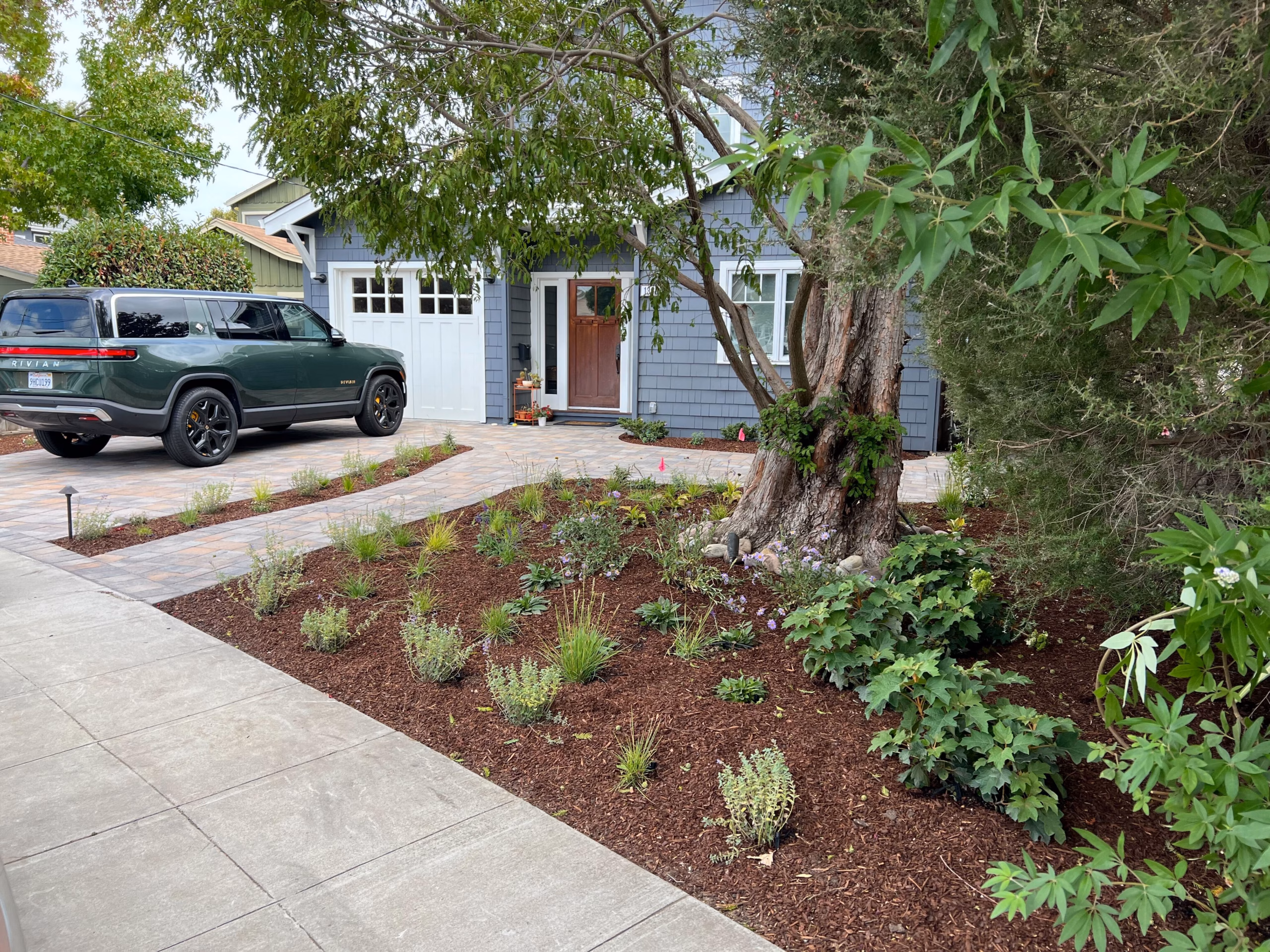 Newly installed paver driveway and walkway with fresh planting beds in the San Carlos front yard.