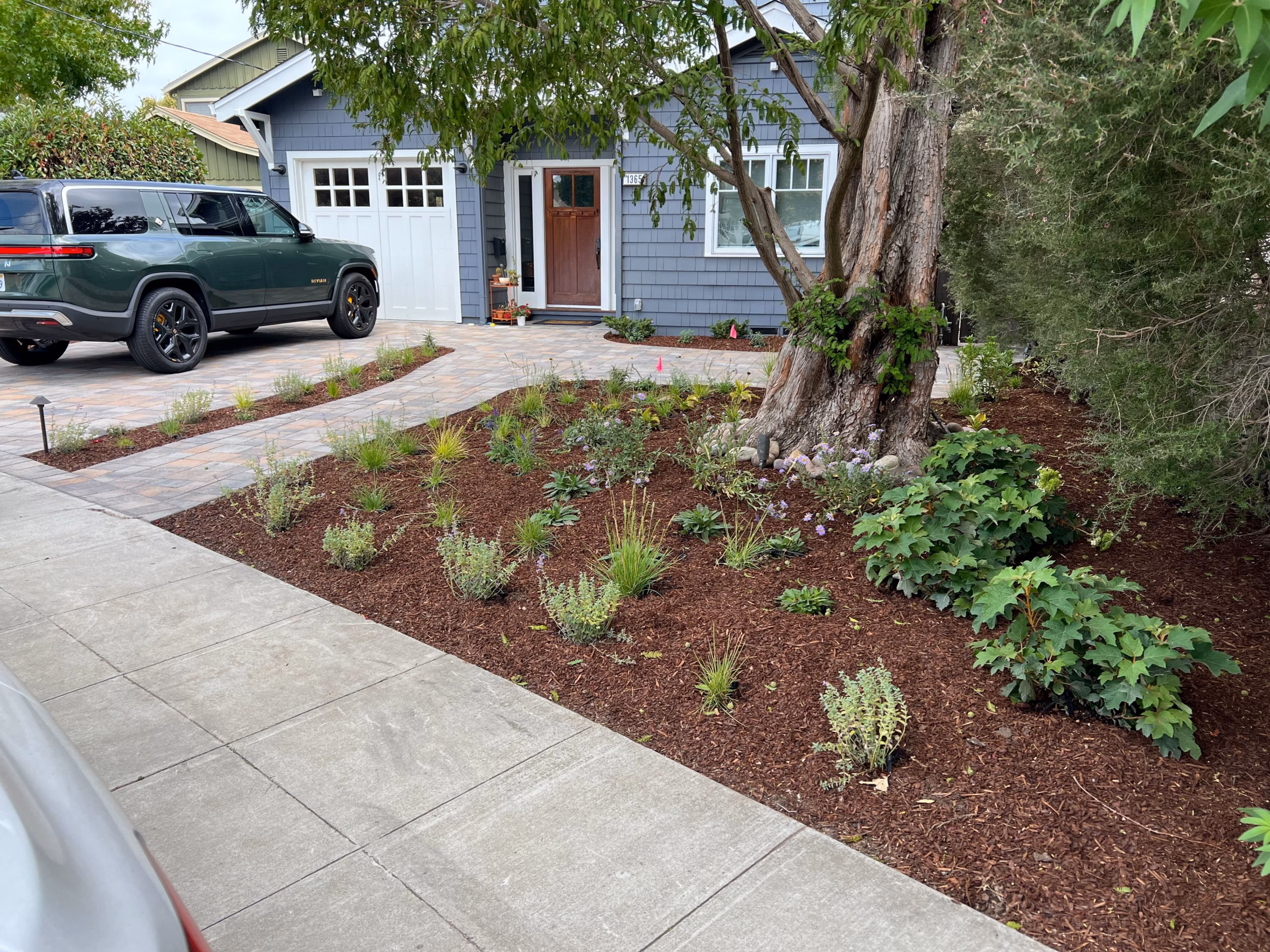 Completed front-yard paver driveway and matching entry walkway with planted beds and path lighting in San Carlos.