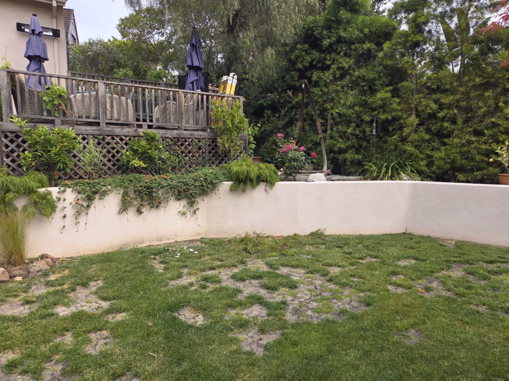 Before — Backyard site photo showing a patchy natural turf lawn with multiple bare spots and exposed soil in front of a low stucco...