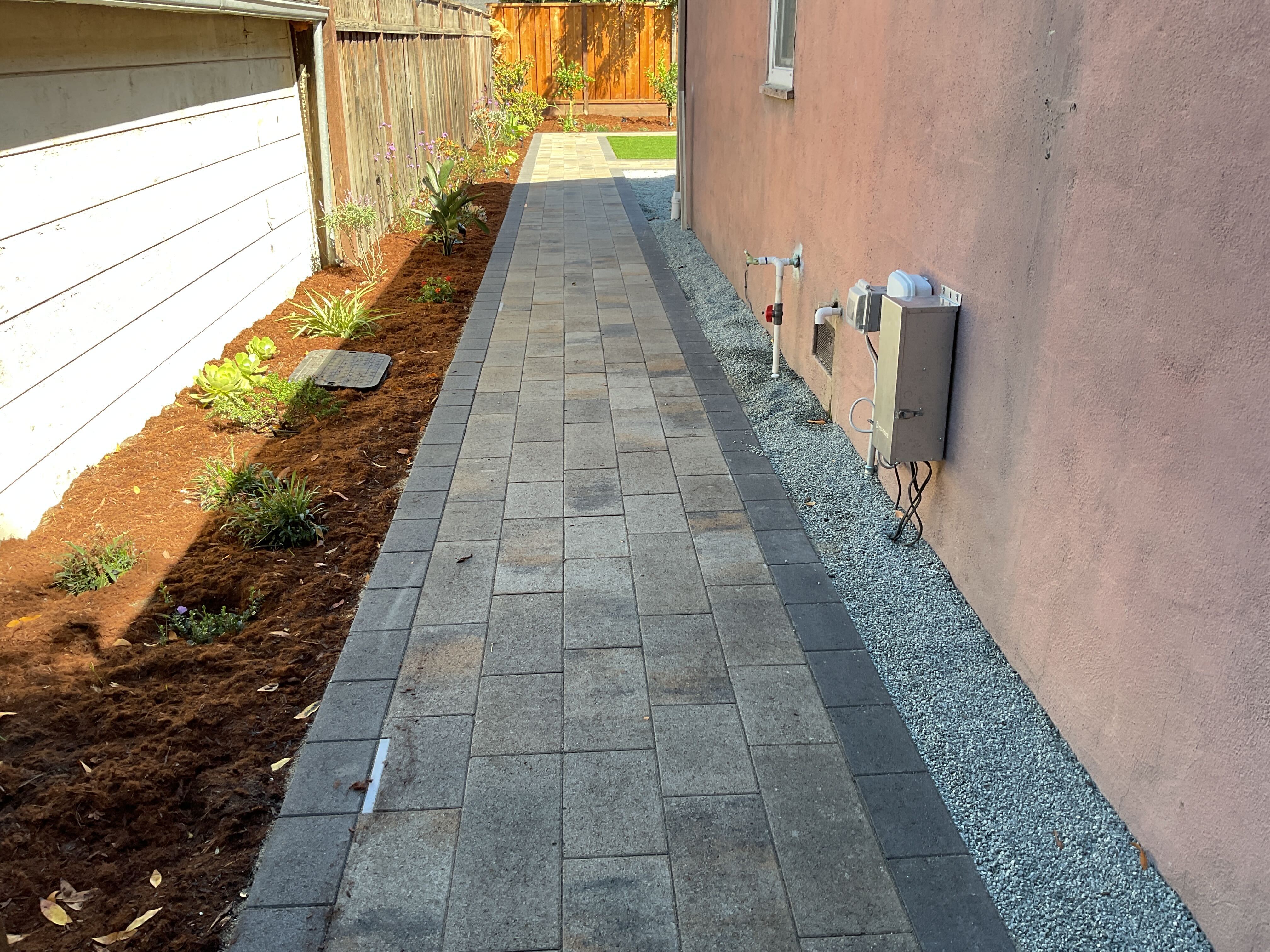 Finished side-yard paver walkway and planting.