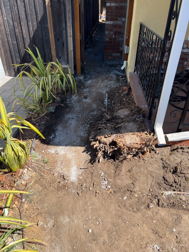 Demolition and side-yard clearing.
