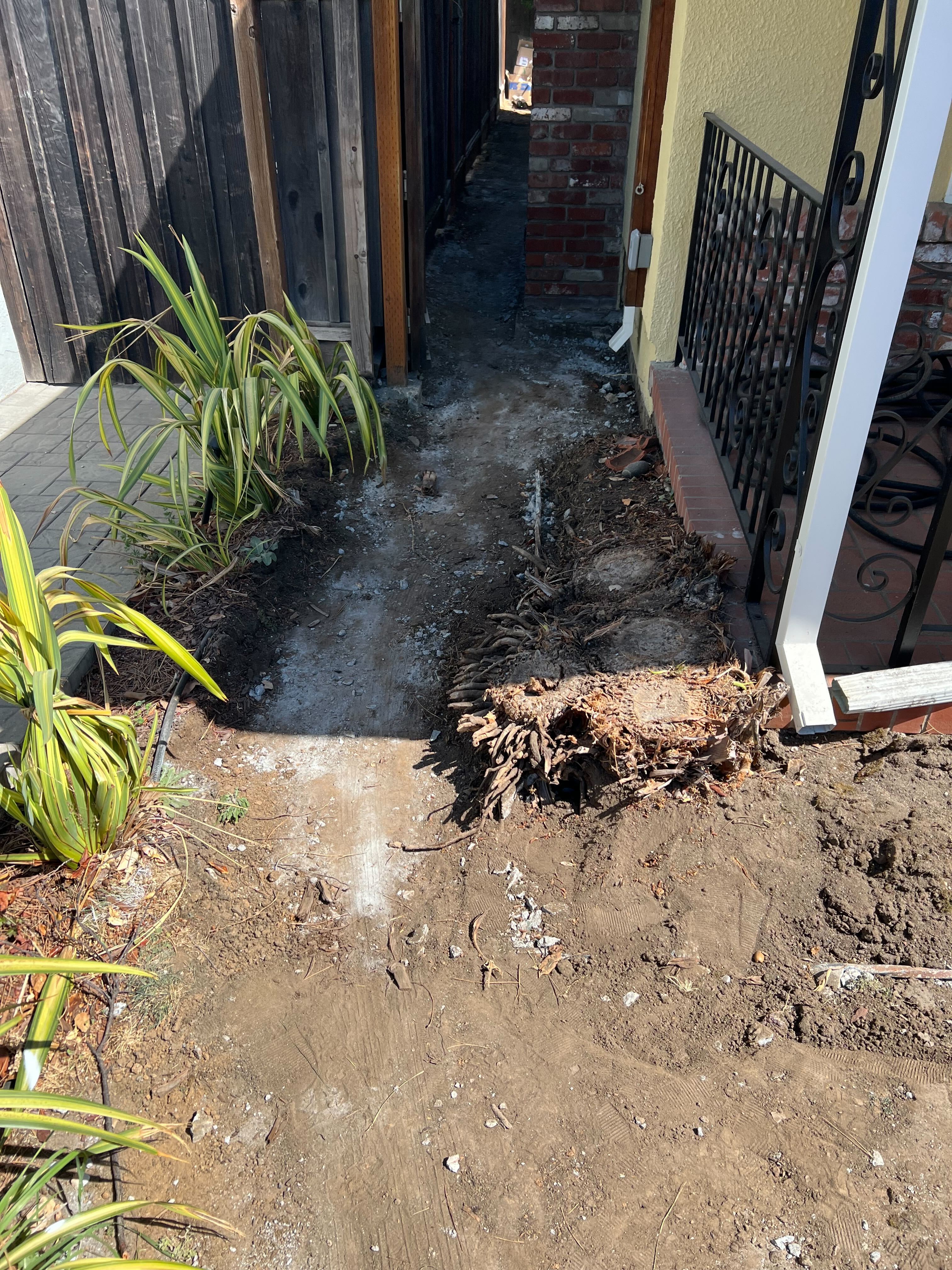 Demolition and side-yard clearing.