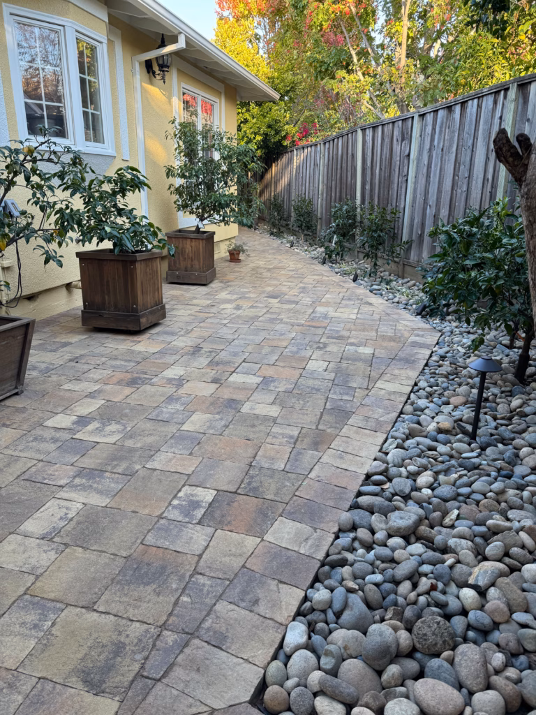 Finished paver walkway and planting edge.