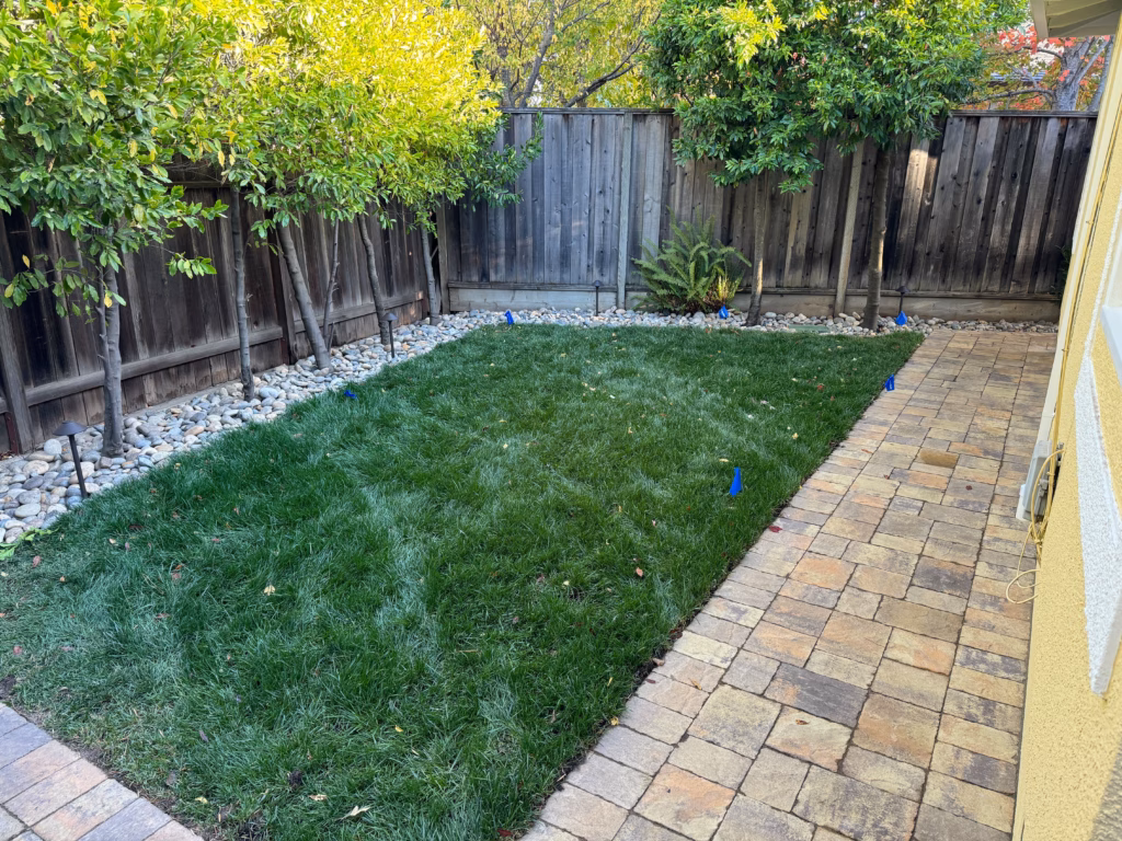 Finished lawn and paver path view with clean edges.