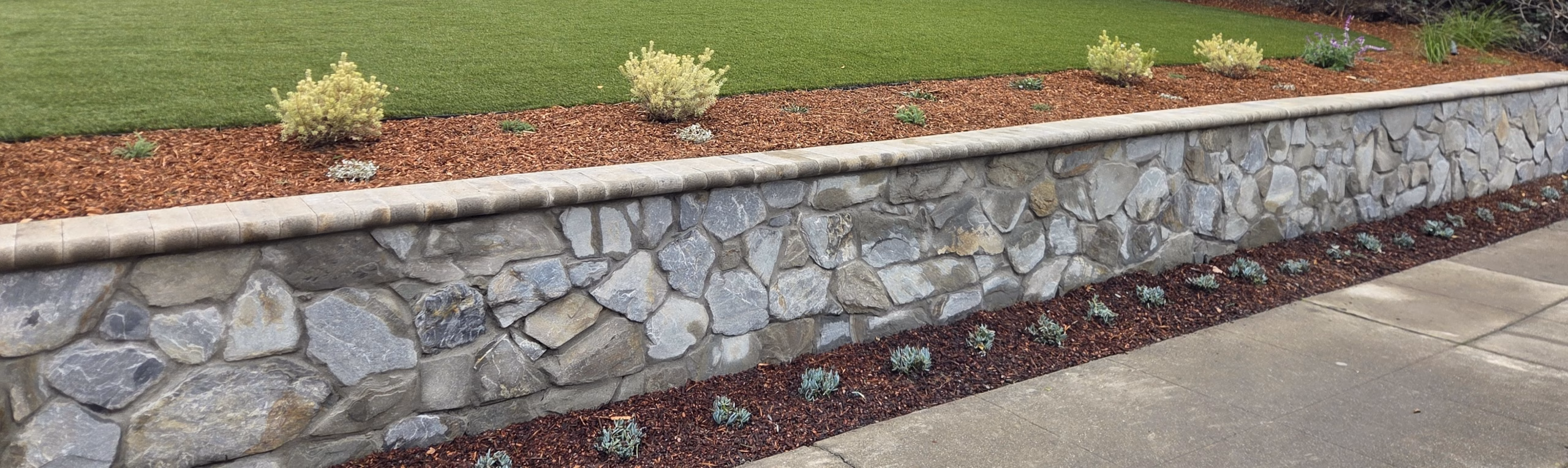 A low stone-veneer retaining wall with a cast cap holding a raised artificial-turf lawn and a red-mulch planting bed in Redwood City