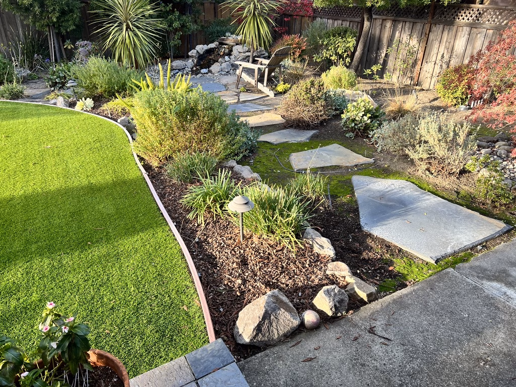 A curved turf lawn edged by flagstone stepping slabs, boulders and mixed planting, with a rock water feature at the back fence, in Redwood City