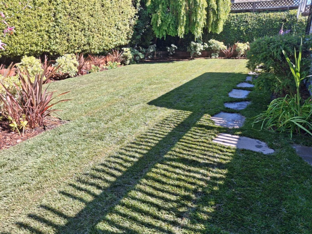 Baywood-Aragon Turf Lawn and Stone Path in San Mateo