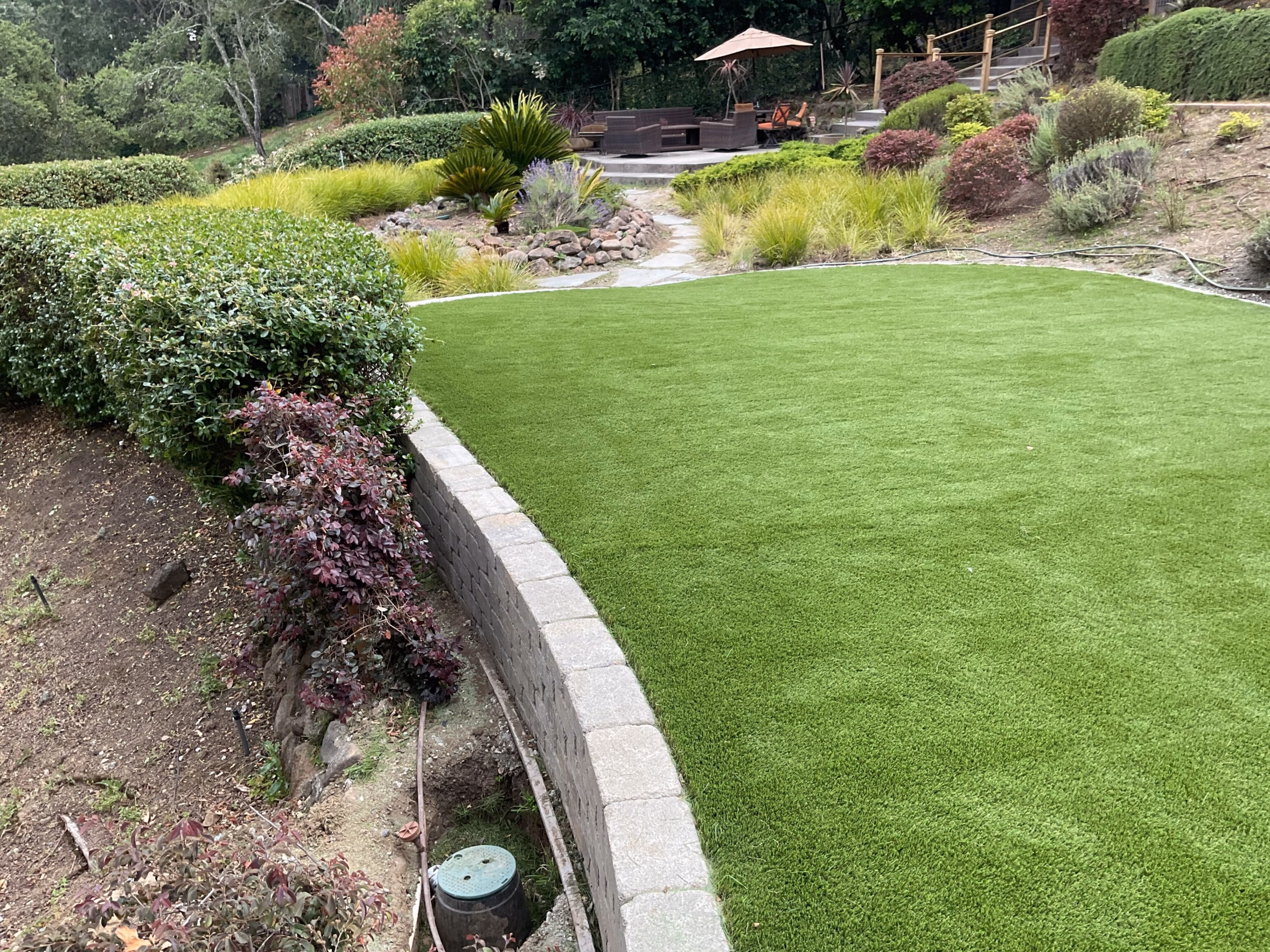 Curved artificial-turf lawn edged by a stone retaining wall and a clipped hedge on a slope, in Woodside, CA