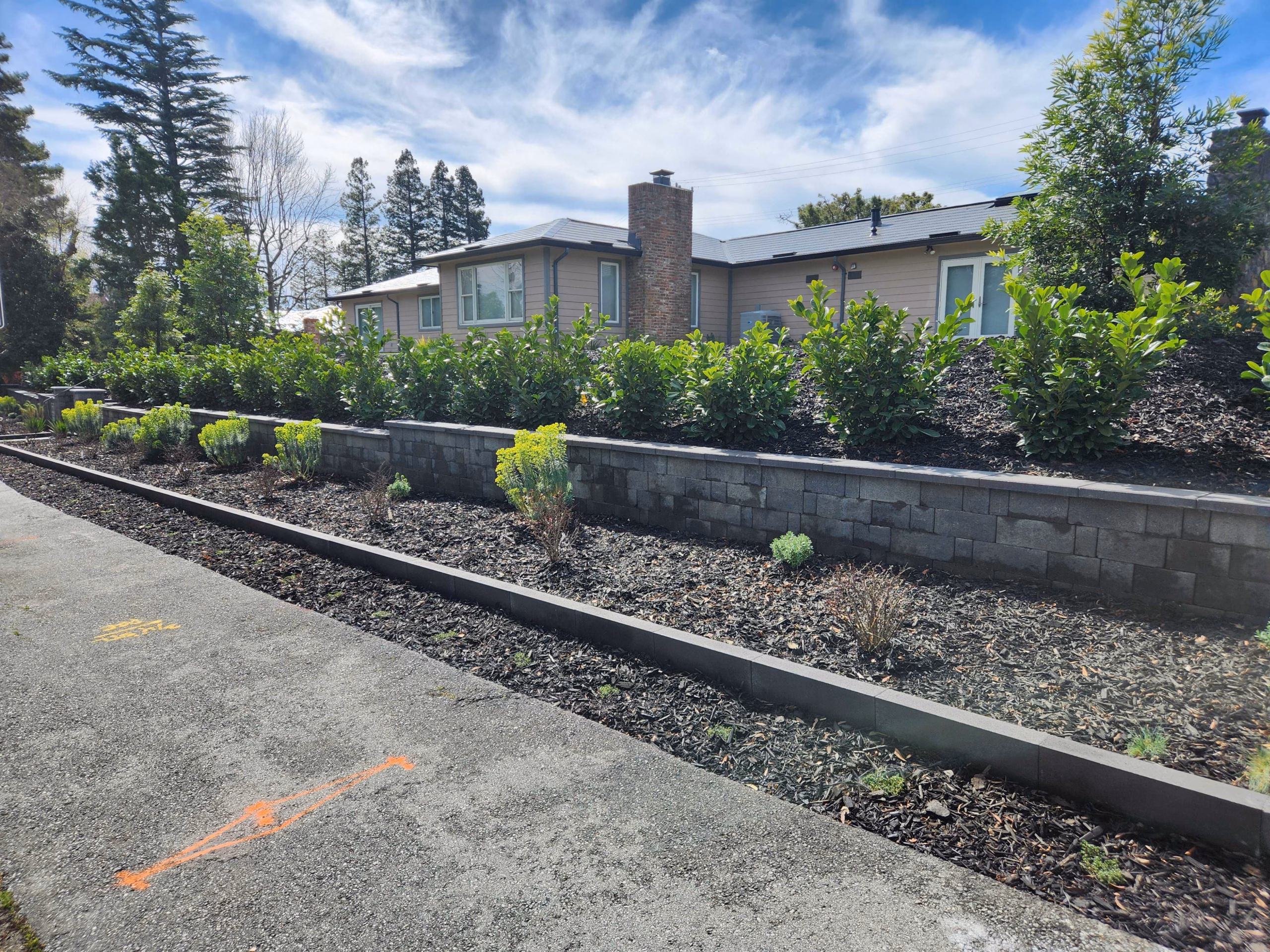 Long capped segmental-block border wall along a Hillsborough street frontage, holding a freshly mulched bed of new low shrubs.