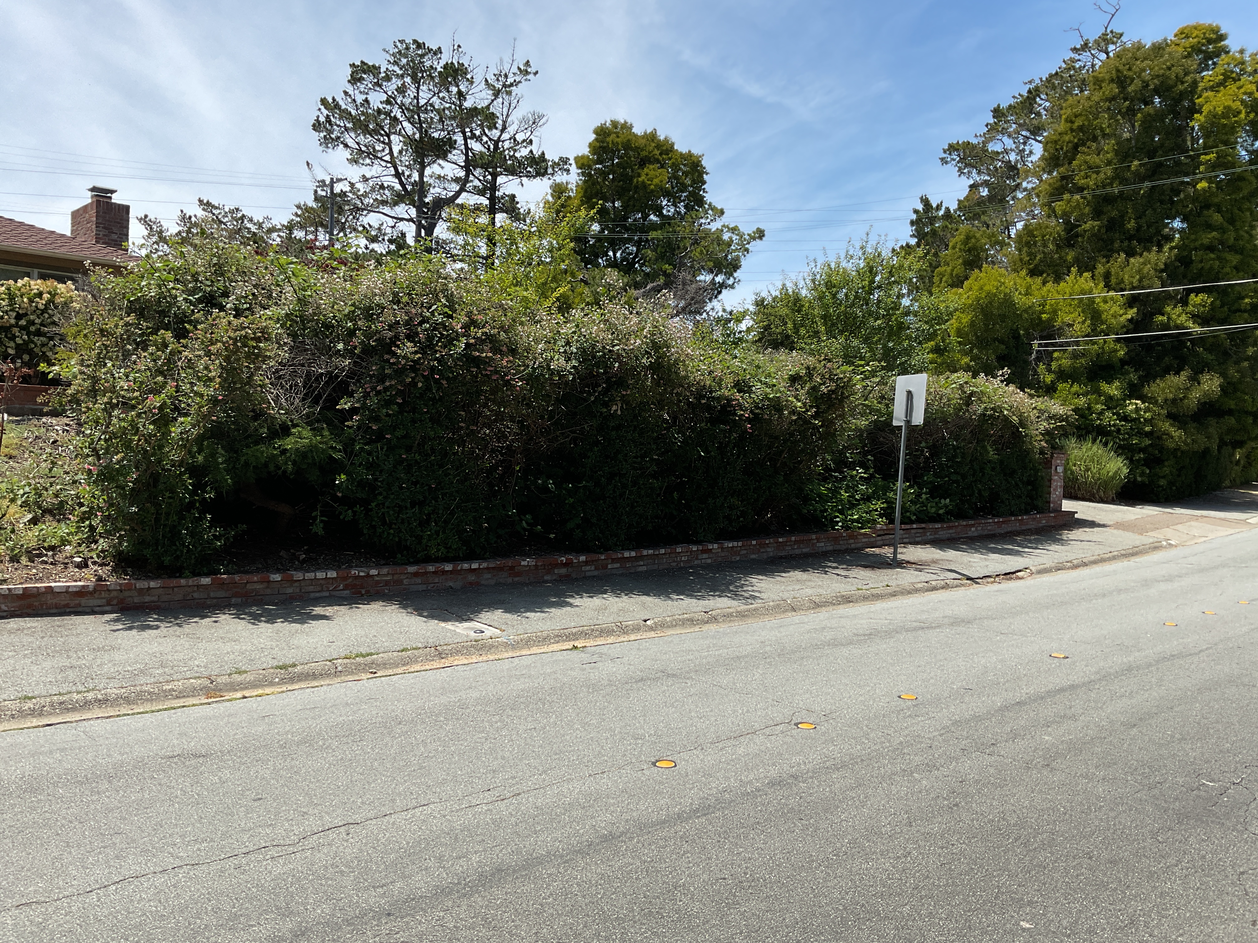 Overgrown shrubs and hedge behind the old low brick street wall before the project.
