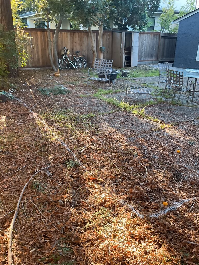Before — Backyard site photo showing existing concrete patio with outdoor furniture and a storage shed, adjacent to a wood...
