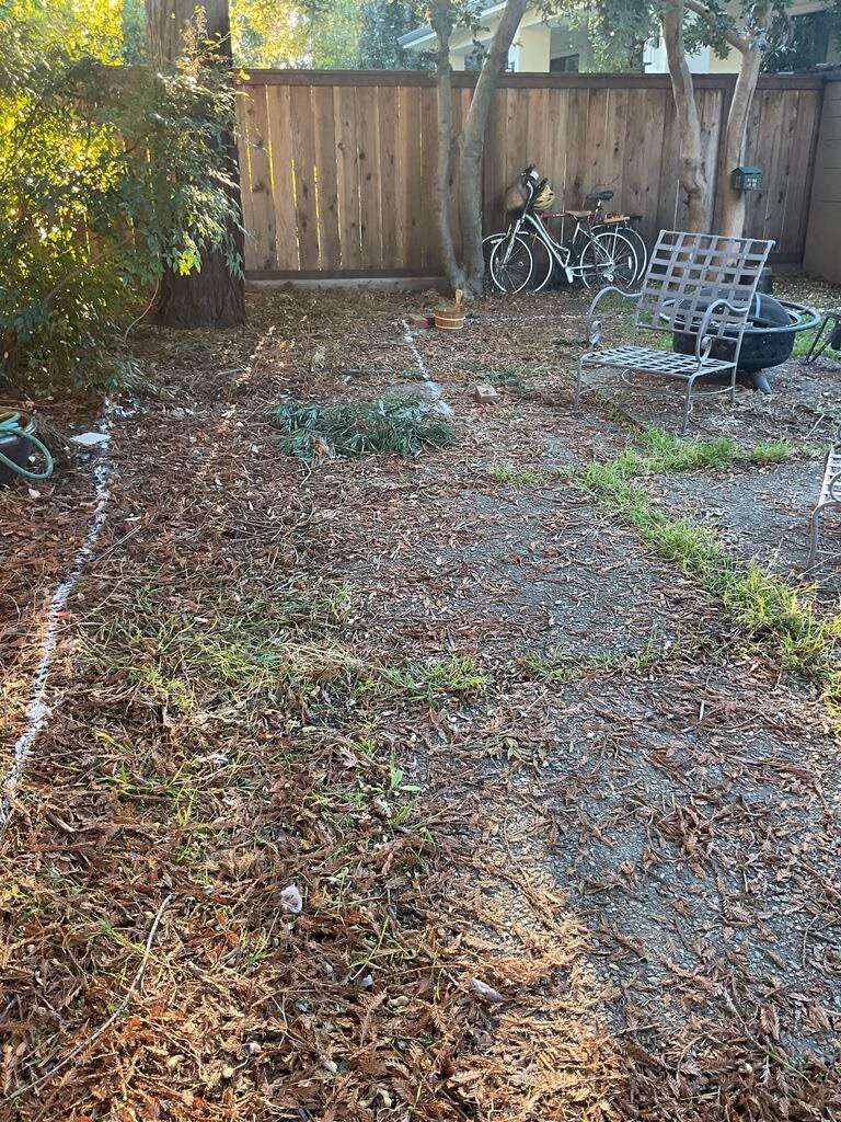 Before — Backyard area with surface mostly stripped to soil and organic mulch, showing a spray-painted layout line marking a...