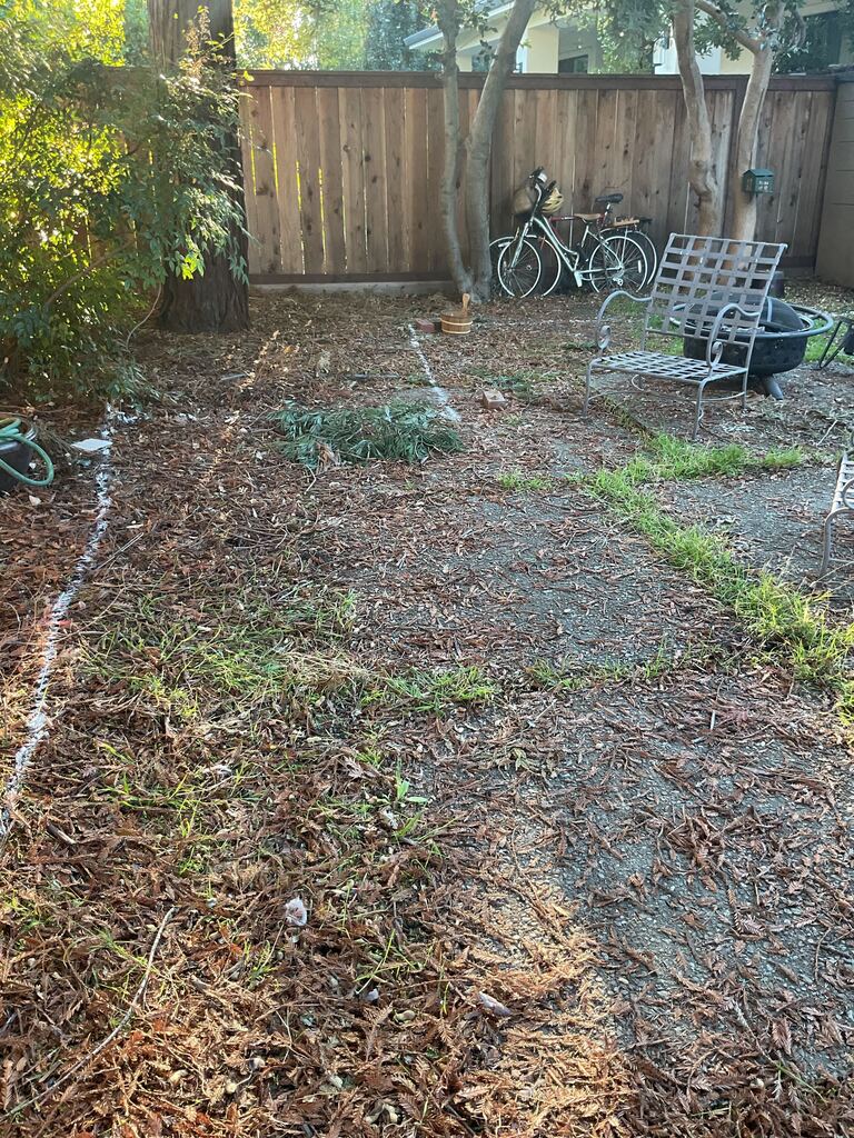 Backyard area with surface mostly stripped to soil and organic mulch, showing a spray-painted layout line marking a...
