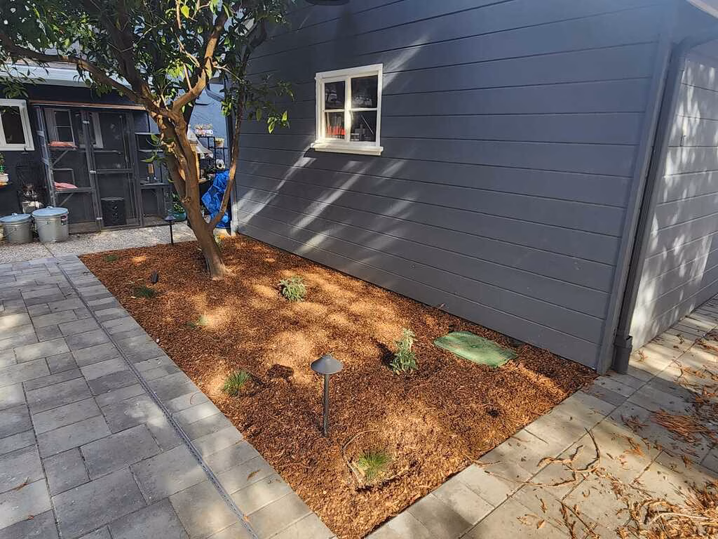 Bark planting bed with a tree and path lighting wrapping the paver patio beside the studio.