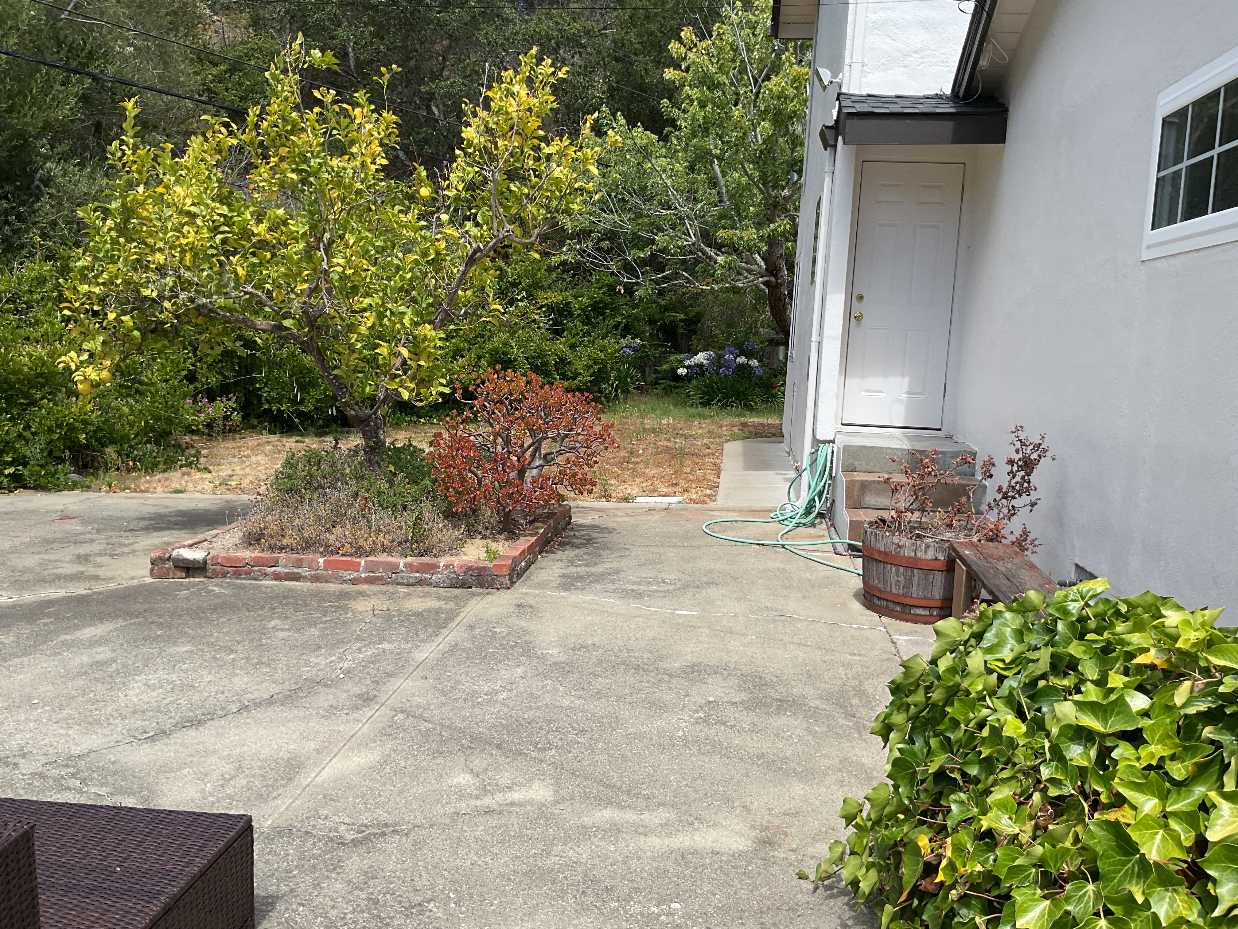 Pre-construction side-yard/patio corner: old aggregate concrete patio, brick-bordered planter with overgrown shrubs, side...