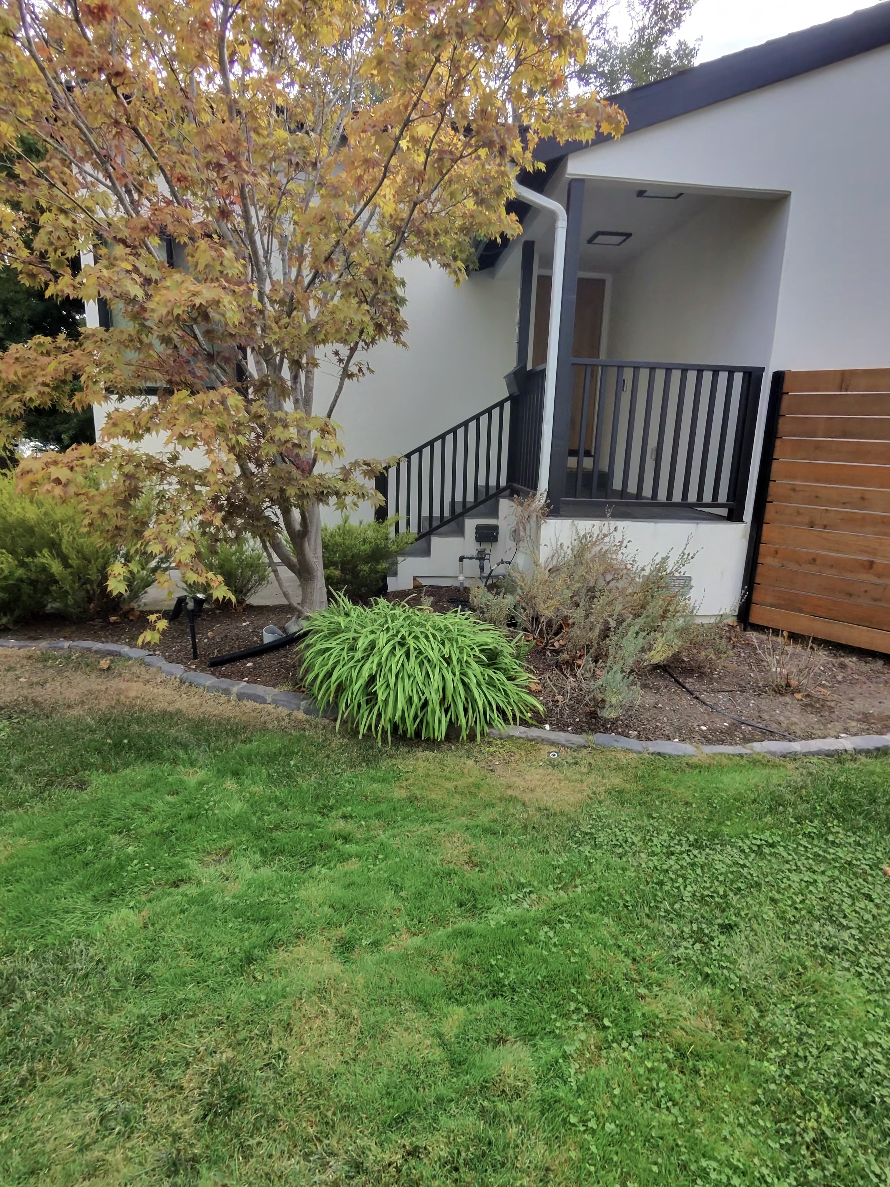 Pre-work entry-side planting bed and natural lawn condition, useful for the side-yard B/A pair.