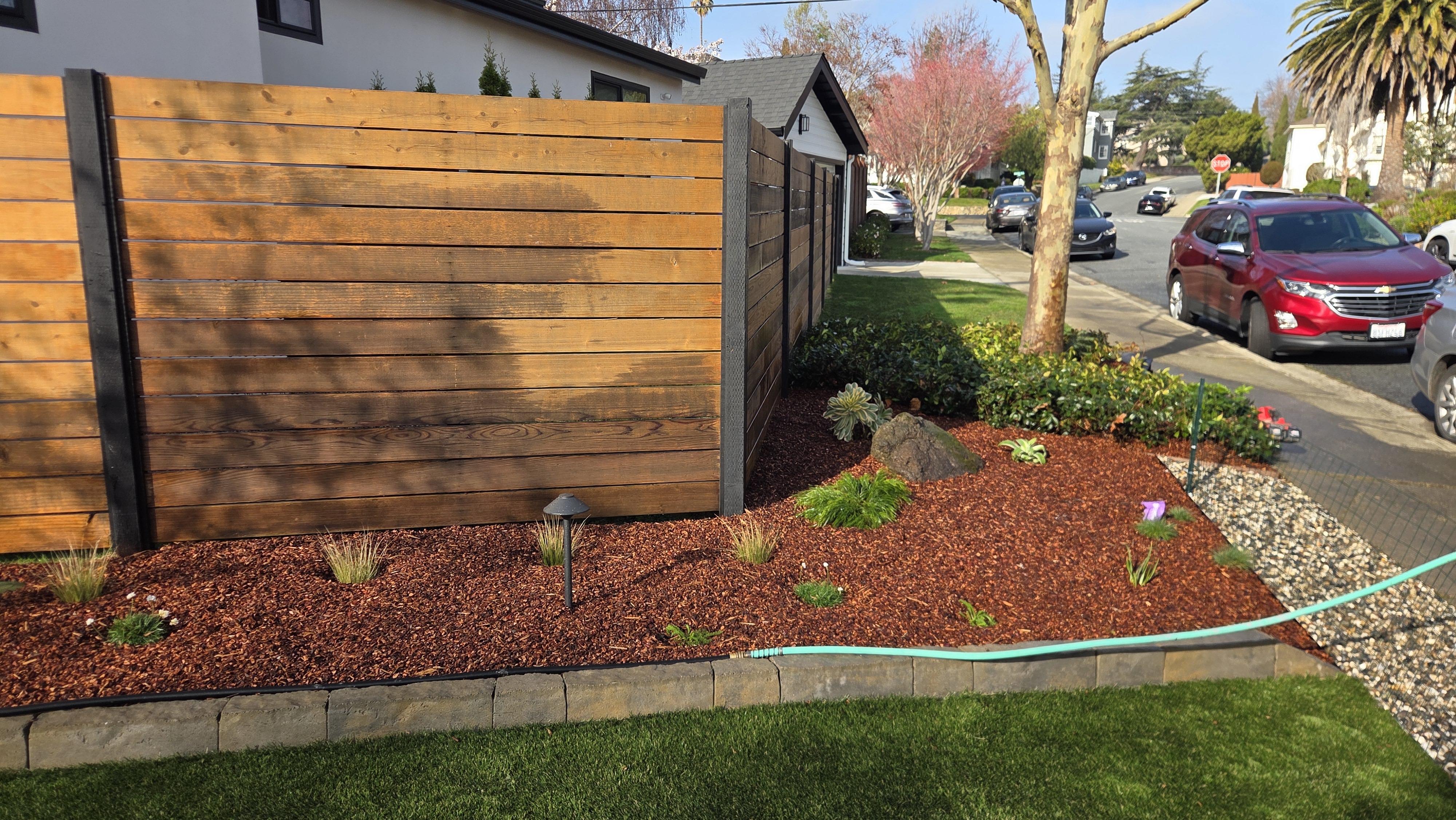 Finished fence, planting bed, edging, lighting, and turf transition view. Garden hose remains visible, so it is not hero...