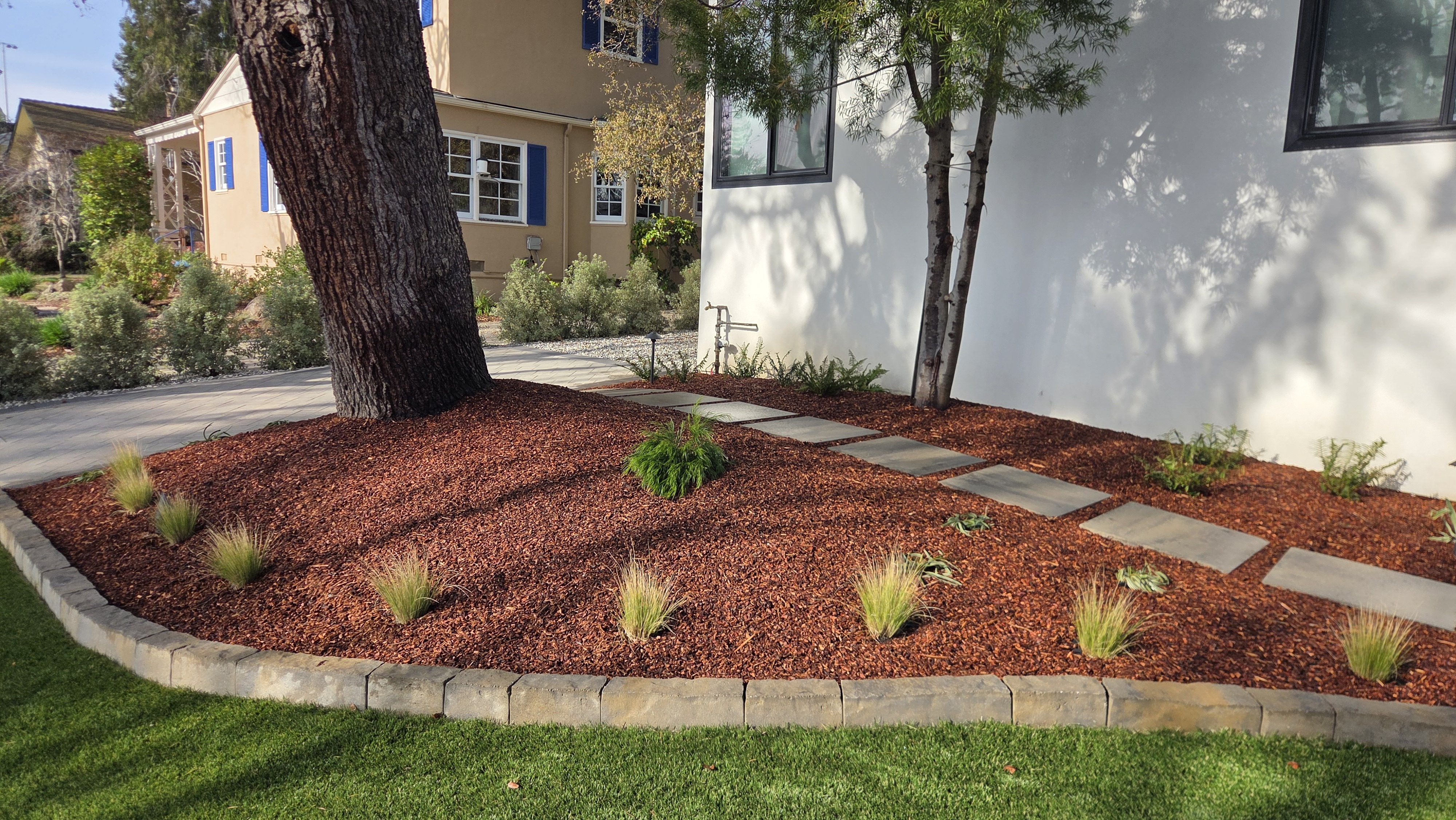 Bark-mulch bed with grasses and paver steppers wraps the mature tree, edged by a low paver border along the turf.