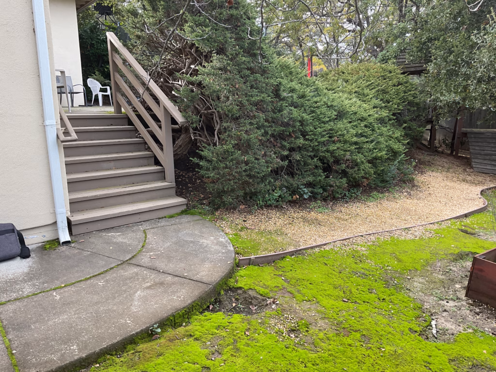 Before — Outdoor living project in San Mateo. Sequoia Outdoor.