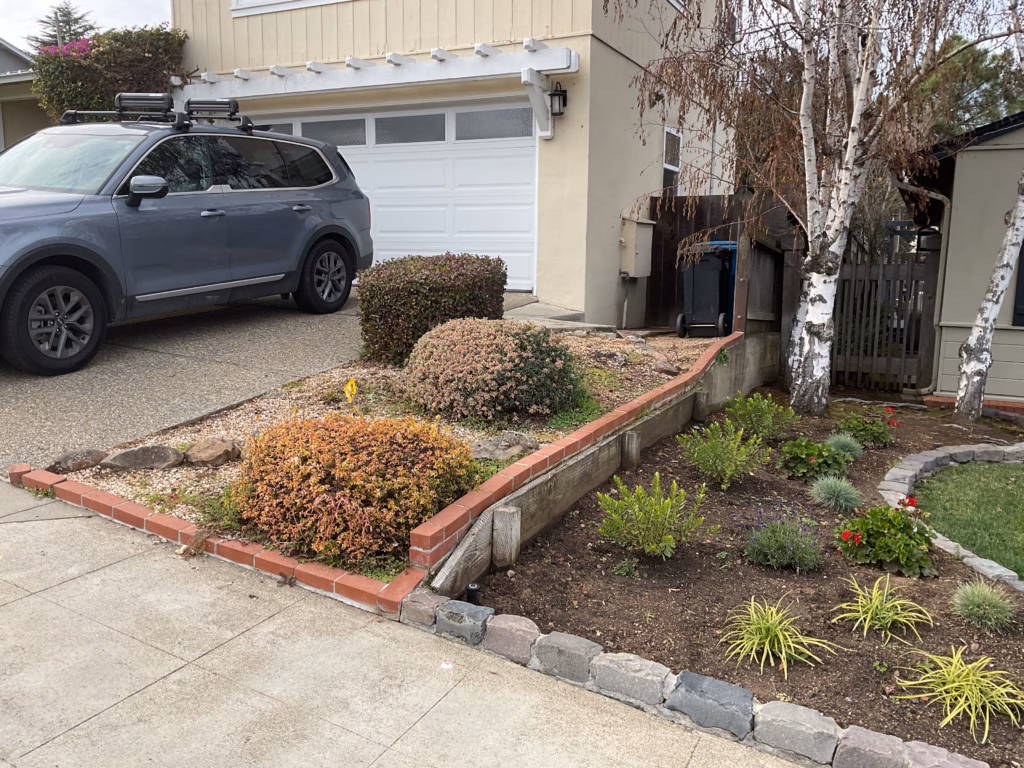 Before — the front yard with a low timber wall, brick-edged bed, and overgrown shrubs beside the driveway.