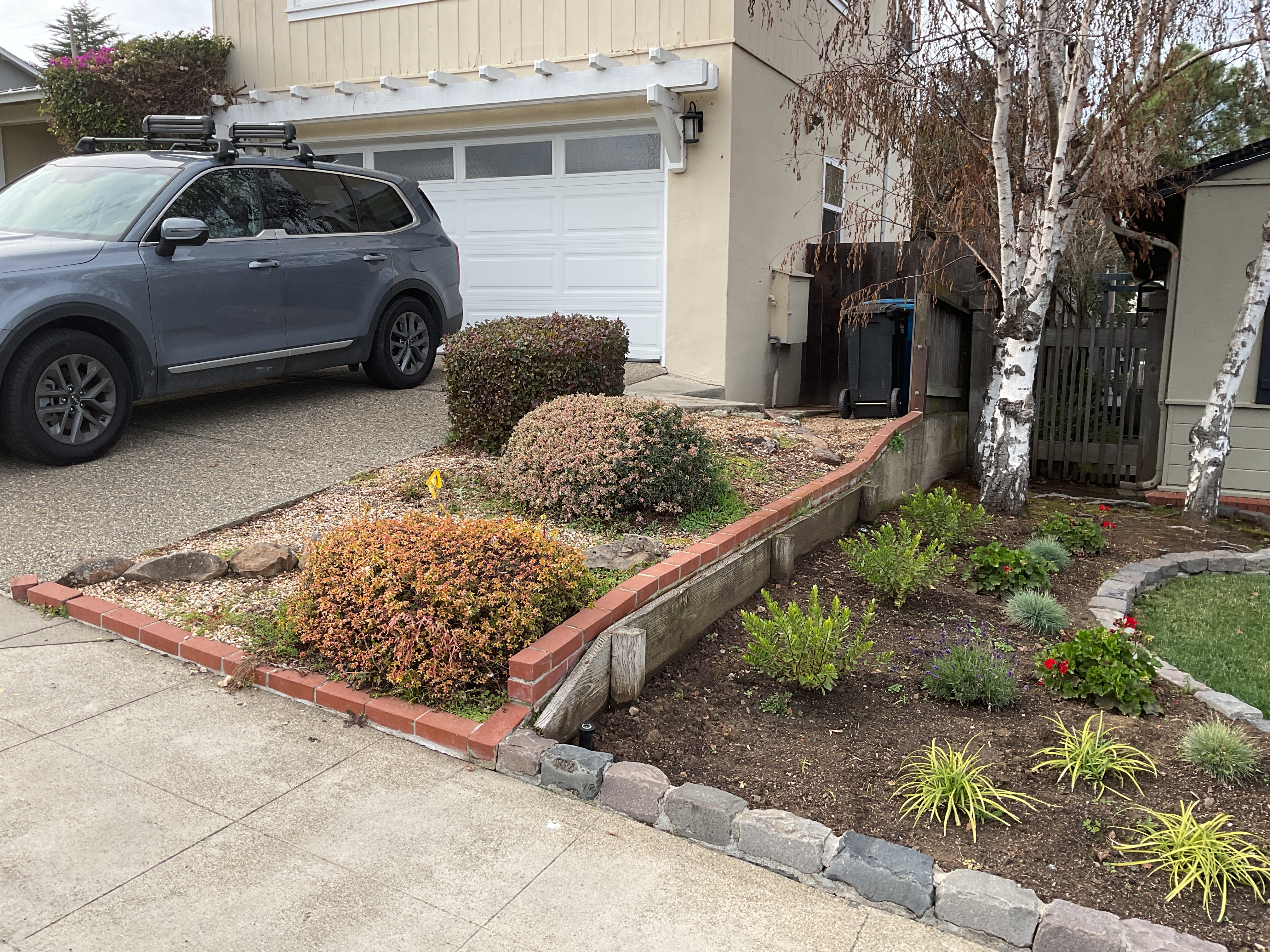 Before: the front yard with a low timber wall, brick-edged bed, and overgrown shrubs beside the driveway.