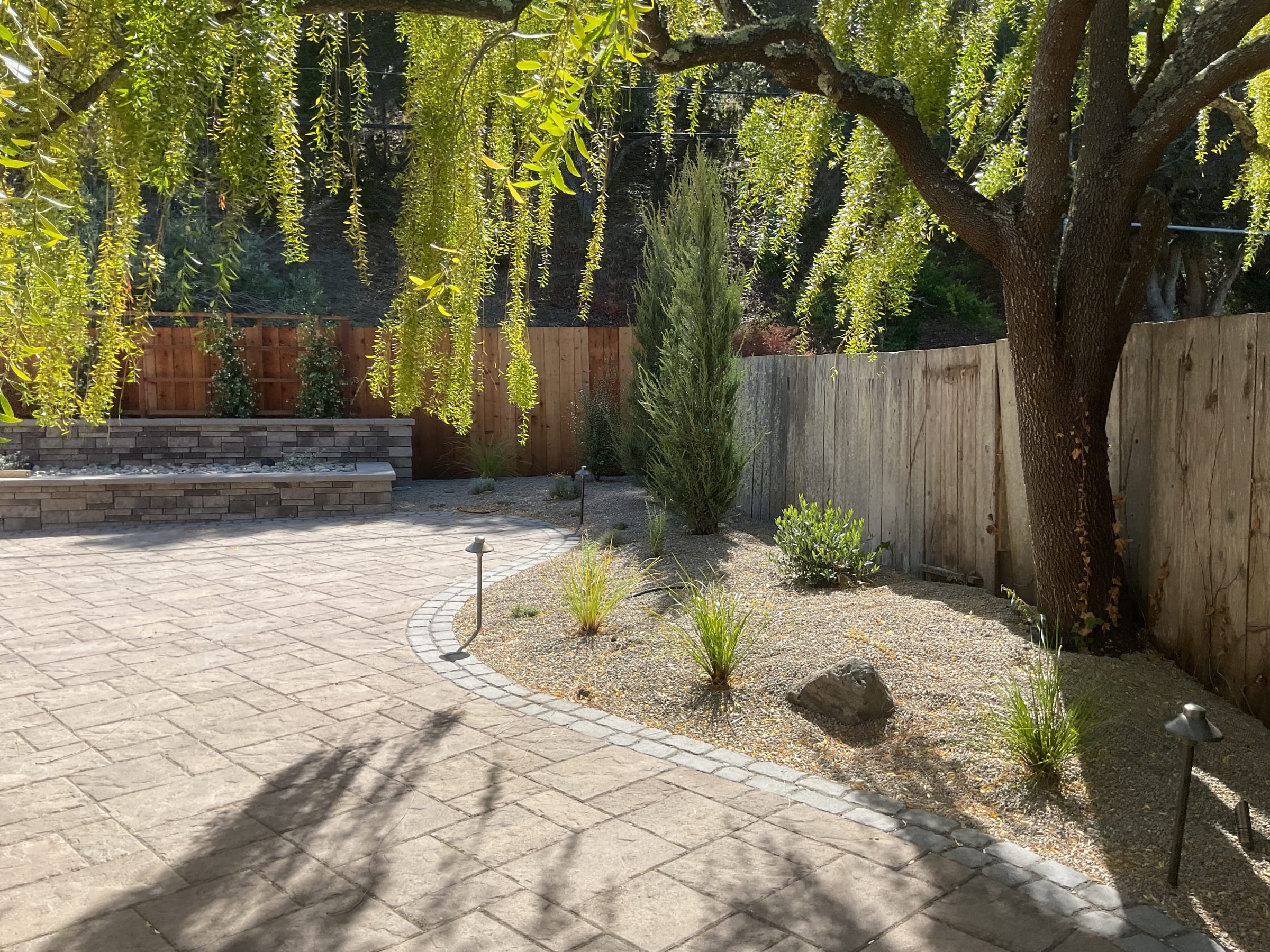 Curved paver edging separates the patio from a decomposed-granite bed of ornamental grasses beneath a weeping willow.