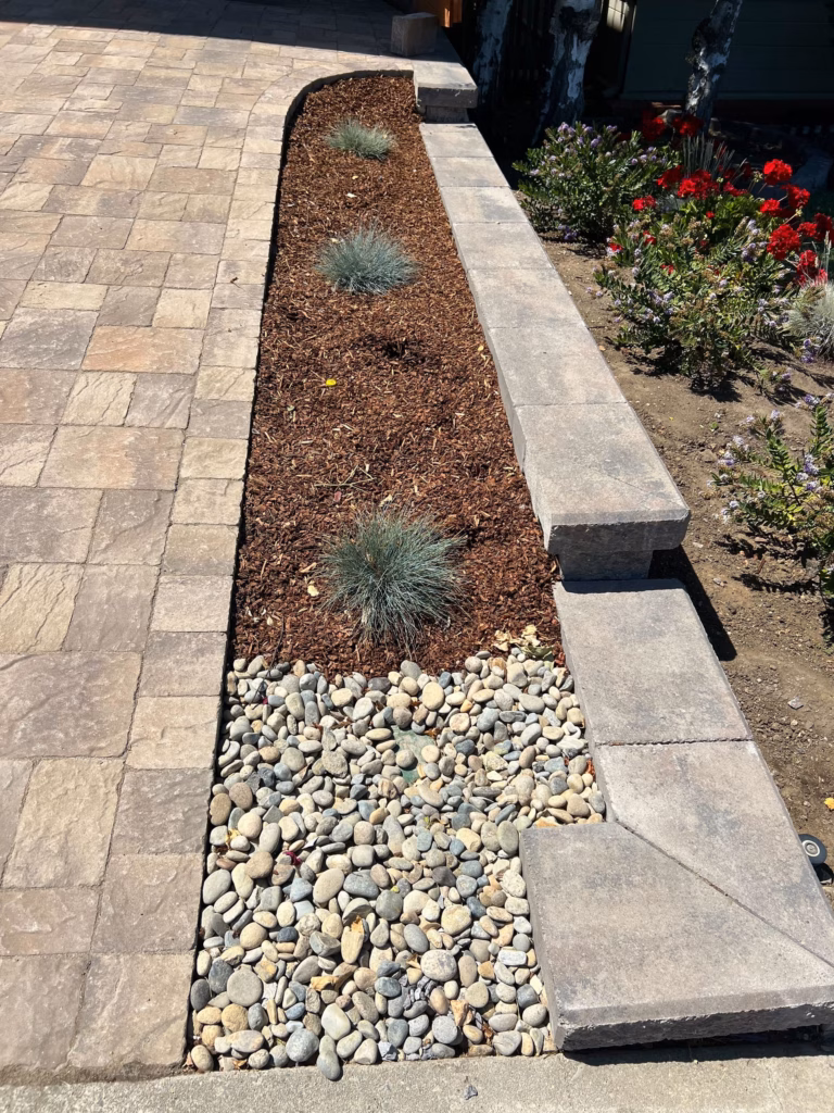 Close view of the tumbled paver field meeting a capped border wall, with a river-rock strip, bark mulch, blue fescue, and red flowers.