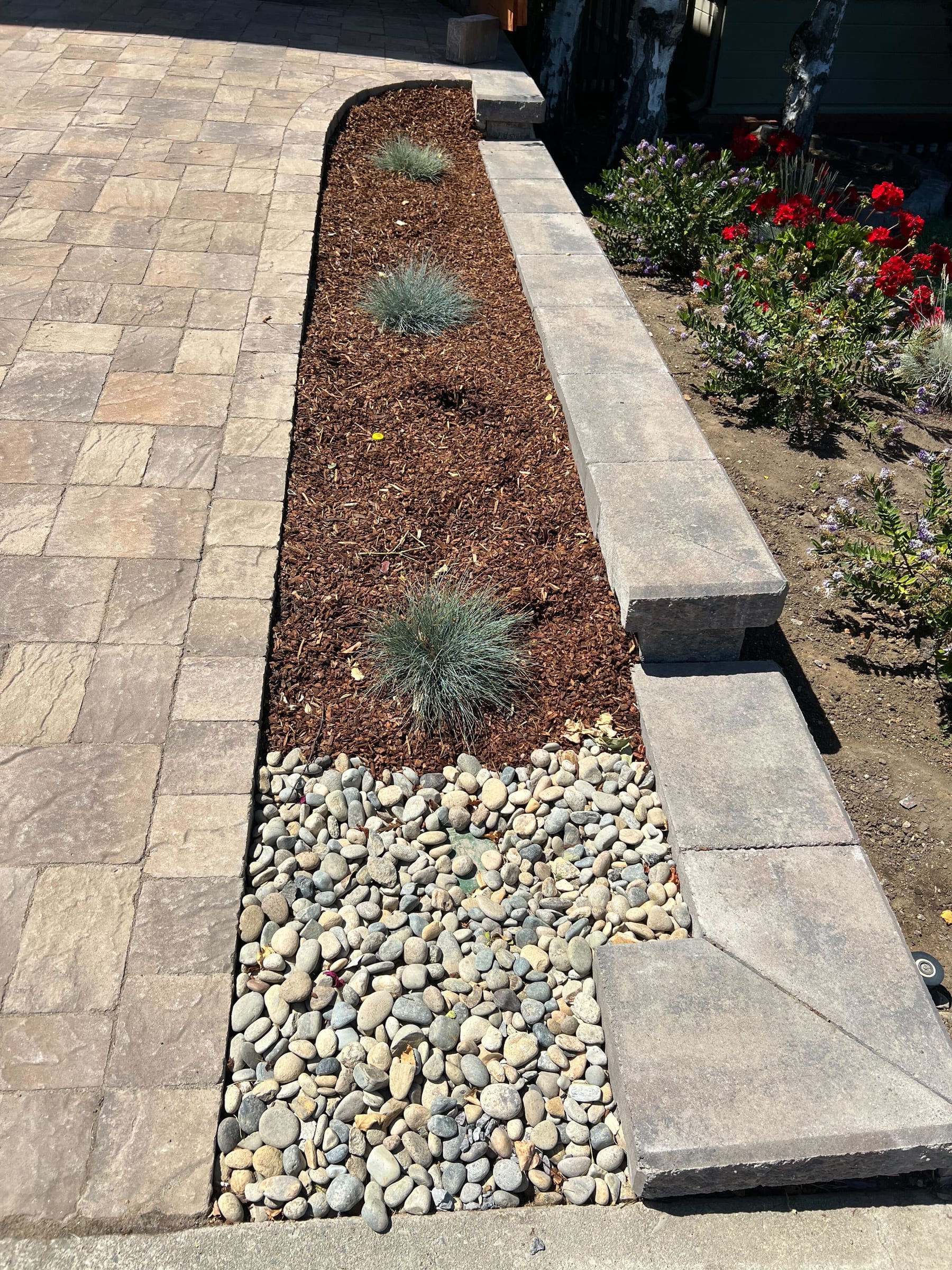 Close view of the tumbled paver field meeting a capped border wall, with a river-rock strip, bark mulch, blue fescue, and red flowers.