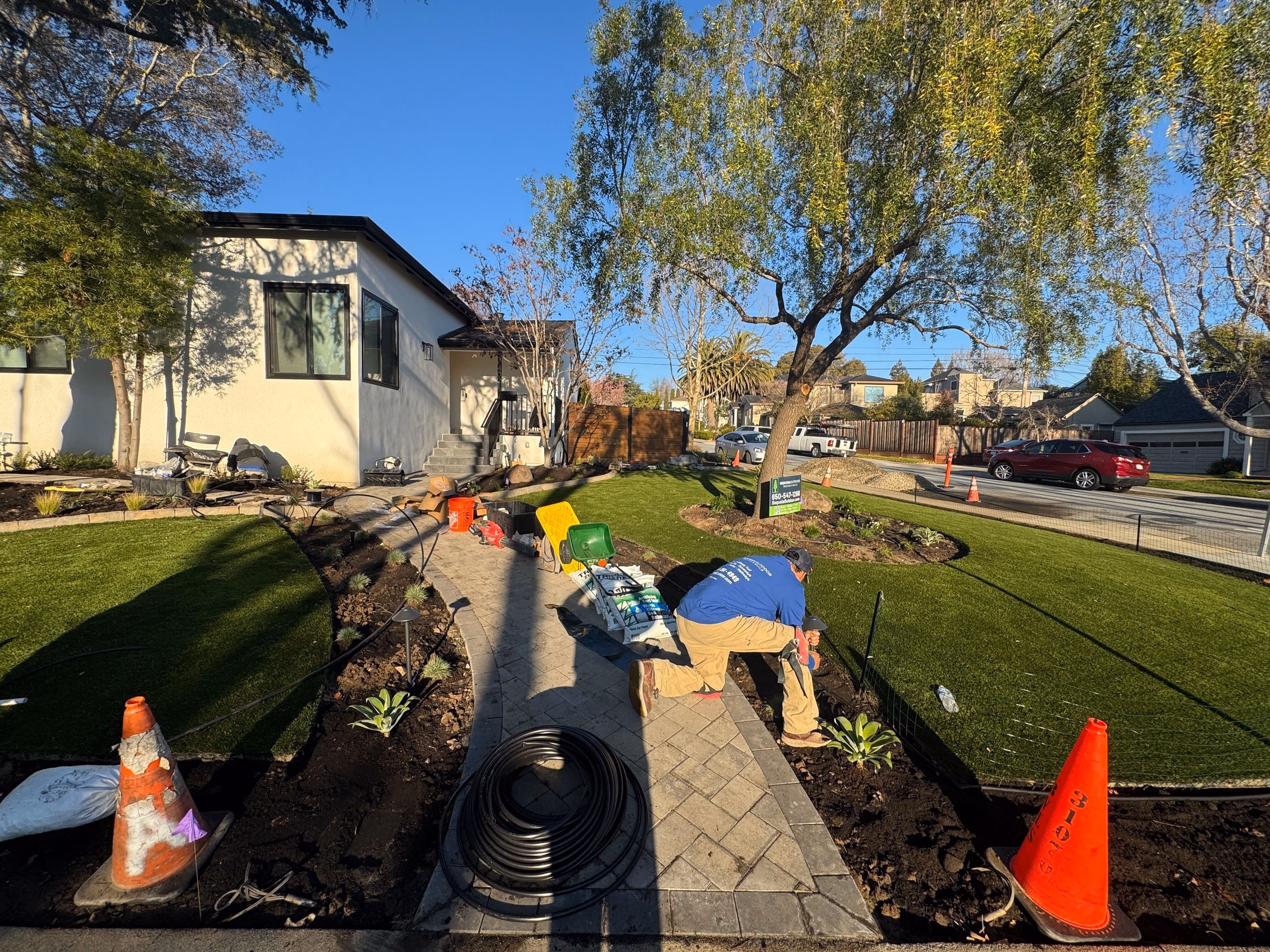 Sequoia crew member setting drip irrigation and planting the front beds beside the new paver walkway, with synthetic turf already laid on both sides