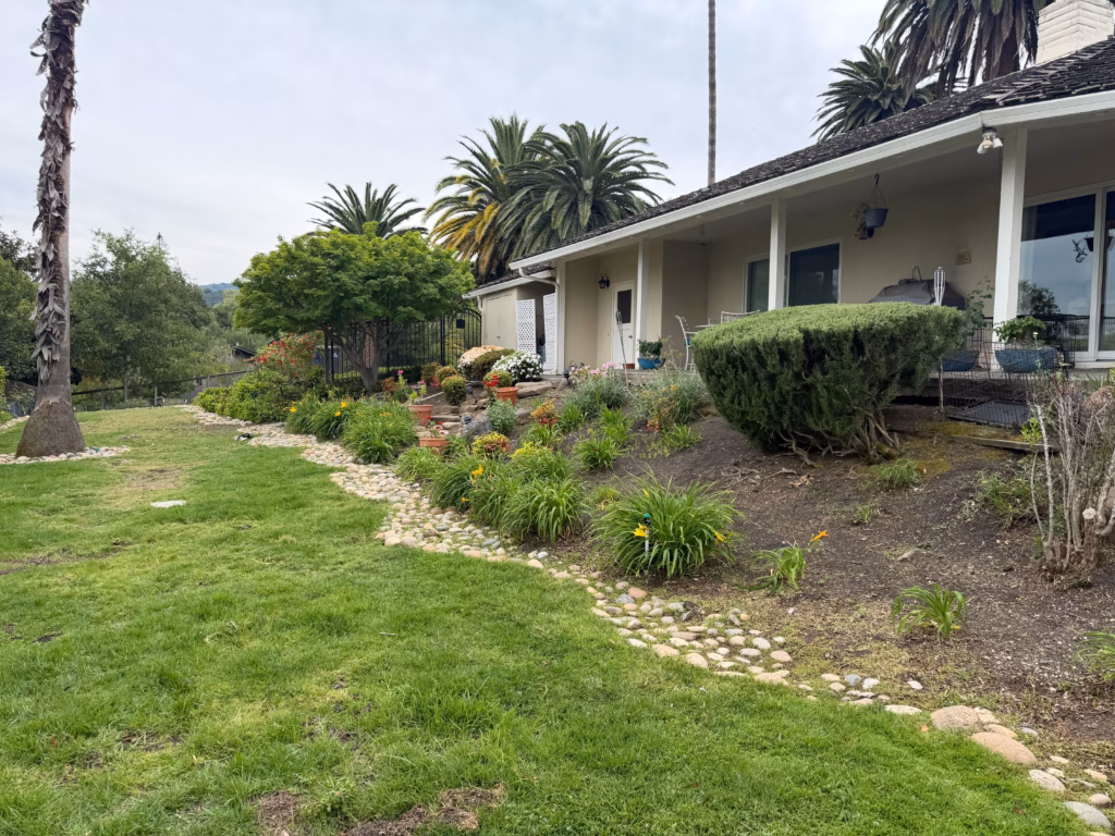 Before — worn lawn and a narrow stone path running toward the house in Los Altos Hills