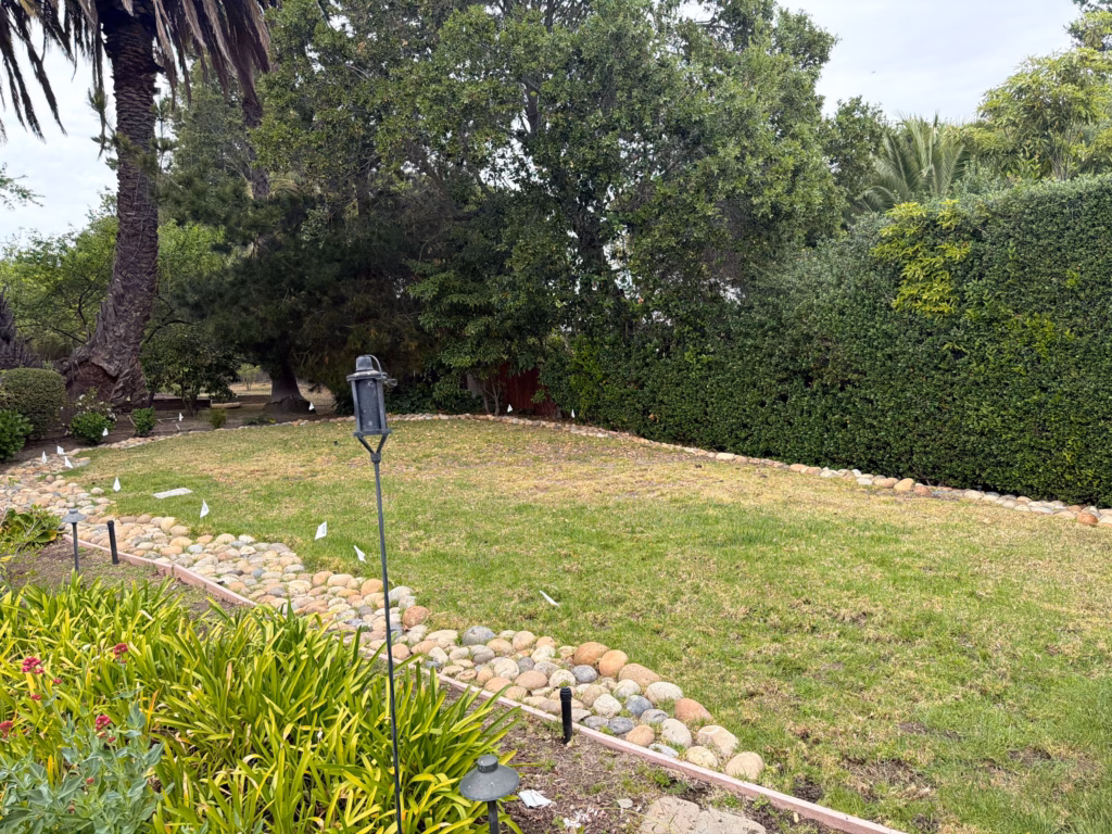 Before — thin lawn inside the river-cobble border under the hedge line, with the path light that stayed