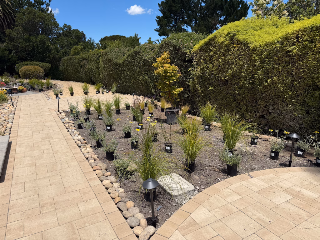 Grasses and perennials planted along the paver walkway and circle terrace