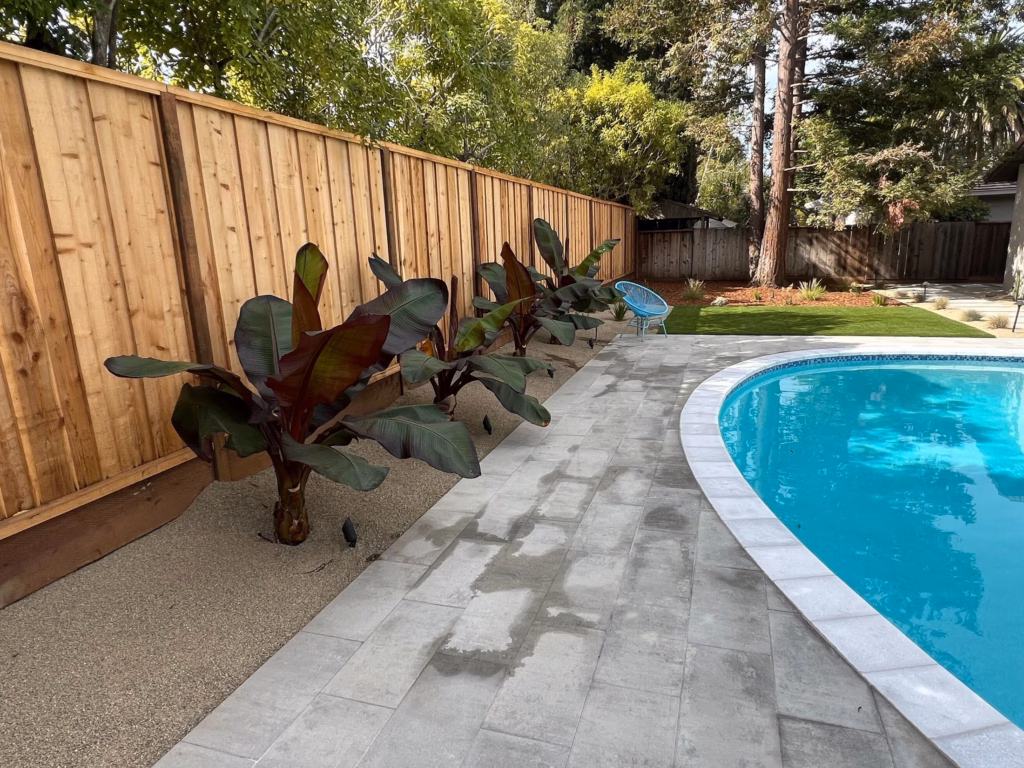 Banana plants along the fence line beside the pool's new paver surround in Los Altos, CA