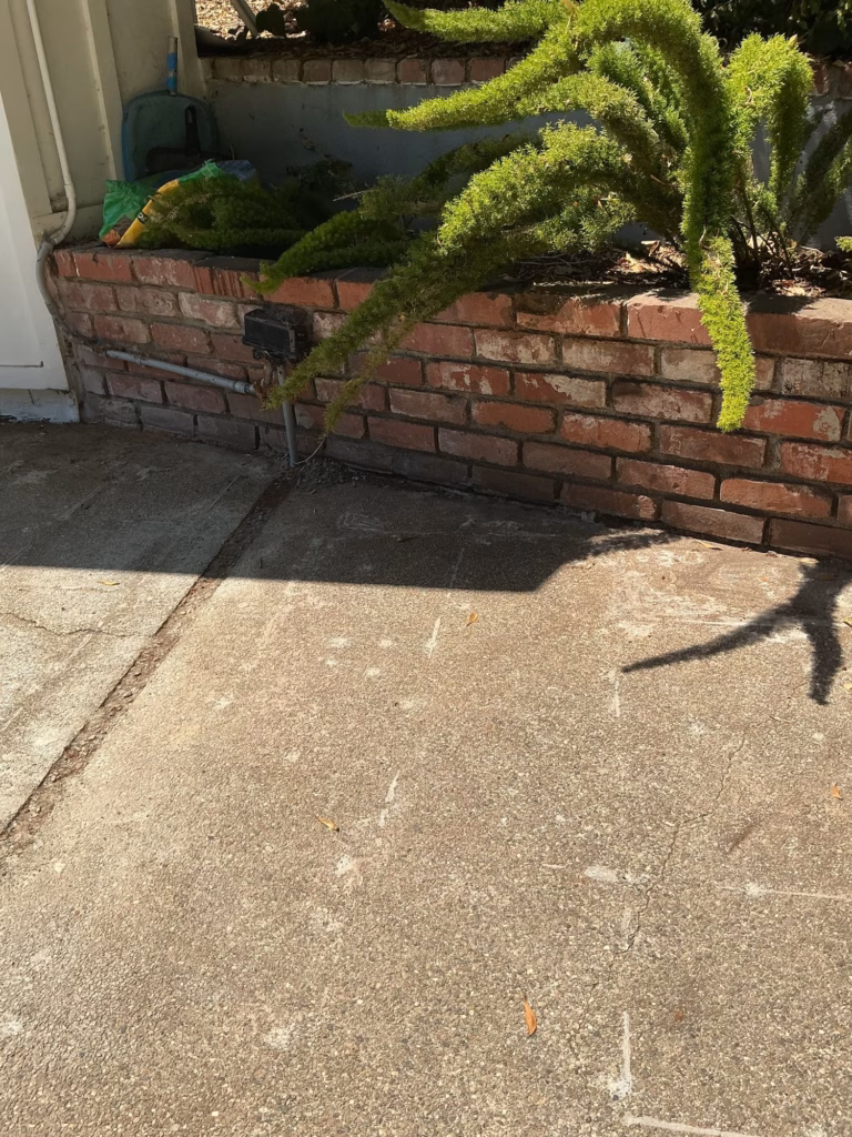 Before — old red brick planter wall with ferns, above stained concrete