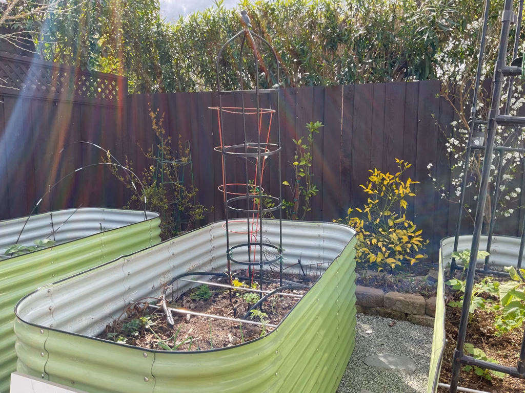 Before — raised garden beds with trellises on gravel at the back corner, lattice-topped side fence on the left